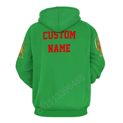 Iran Lion With Sun Flag 3D Hoodie Polyester Cool Men Women Harajuku Sweatshirt Unisex Casual Pullover Hoodies Custom Name