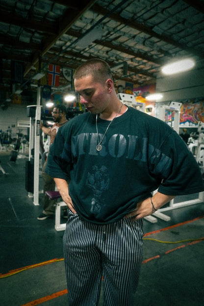 Pump Covers  GYM Muscular Exclusive Sports T-shirt, Summer Short-Sleeve Loose Comfortable Elastic Training Squat Gym Apparel